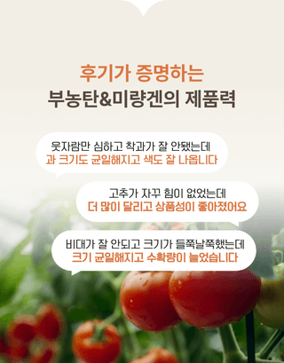 농업마켓365님의 작성글 사진