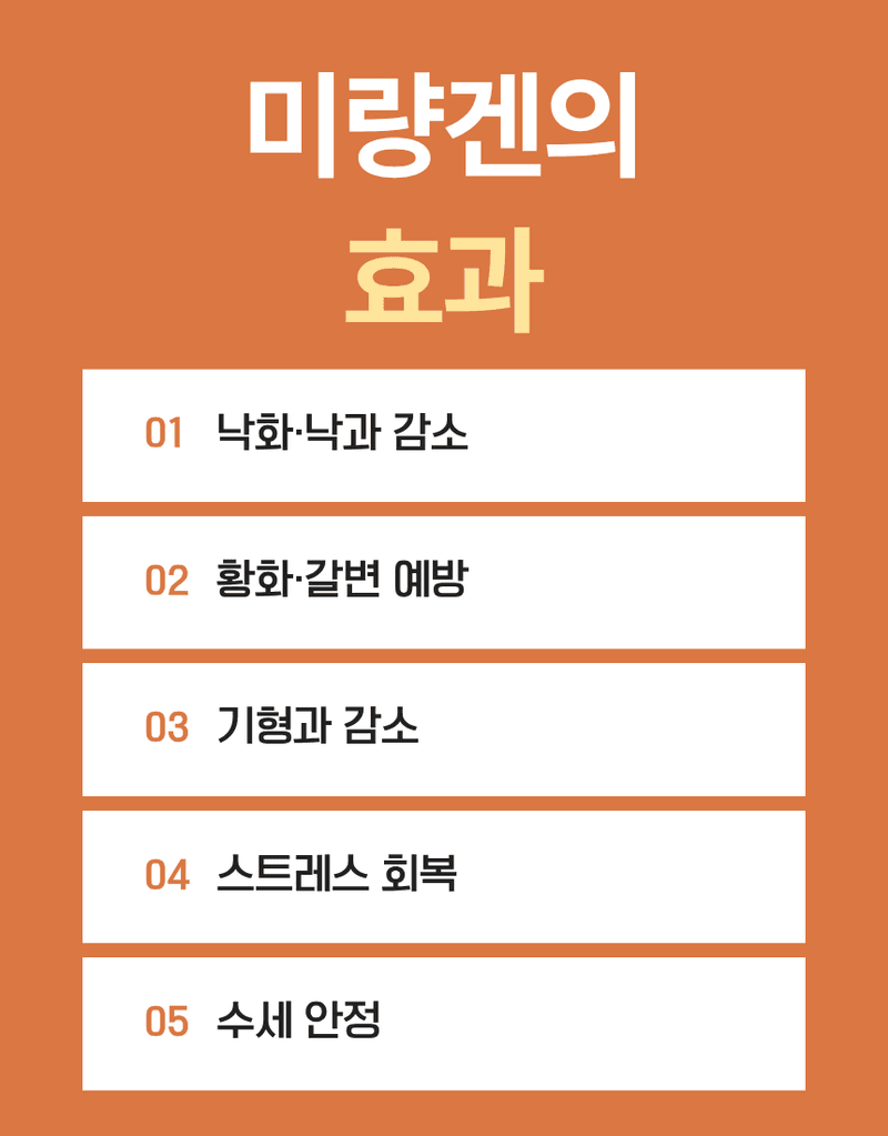 농업마켓365님의 장터 판매 상품 [부농탄 미량겐 500ML SET 착과비대 완성 고당도 고품질 수확 식물영양제 비료] 첨부 사진