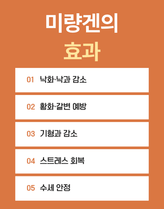 농업마켓365님의 작성글 사진