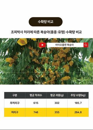 농업마켓365님의 작성글 사진