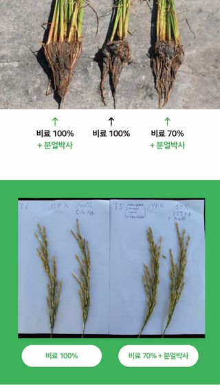 농업마켓365님의 작성글 사진