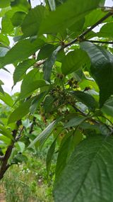 박정희 님의 자유주제·자유게시판 작성글 사진