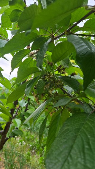 박정희 님의 자유주제 · 자유게시판 작성글 사진