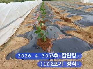 박성민님의 자유주제 · 자유게시판 작성글 사진