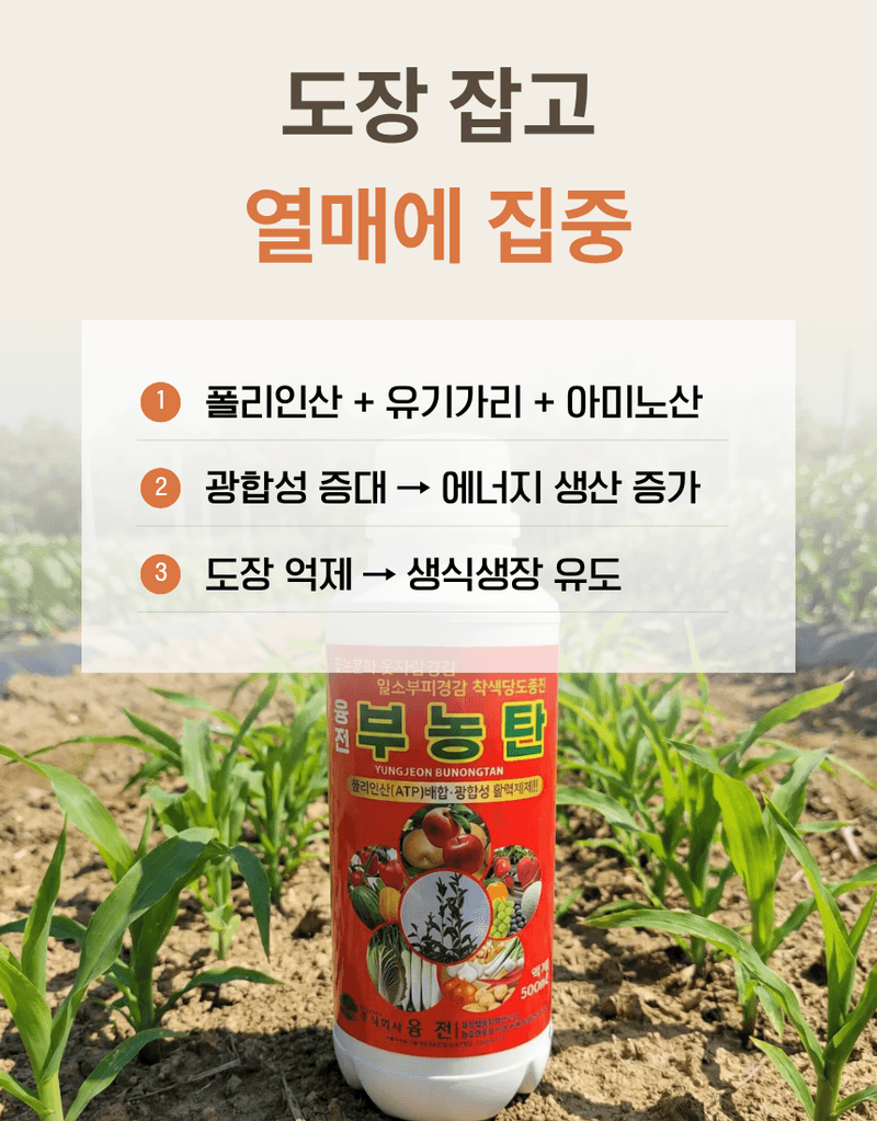 농업마켓365님의 장터 판매 상품 [부농탄 미량겐 500ML SET 착과비대 완성 고당도 고품질 수확 식물영양제 비료] 첨부 사진
