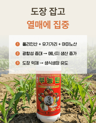 농업마켓365님의 작성글 사진
