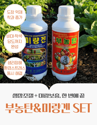 농업마켓365님의 작성글 사진
