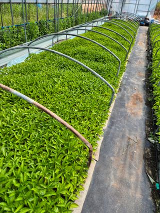 김영진(전남영광)님의 자유주제 · 자유게시판 작성글 사진