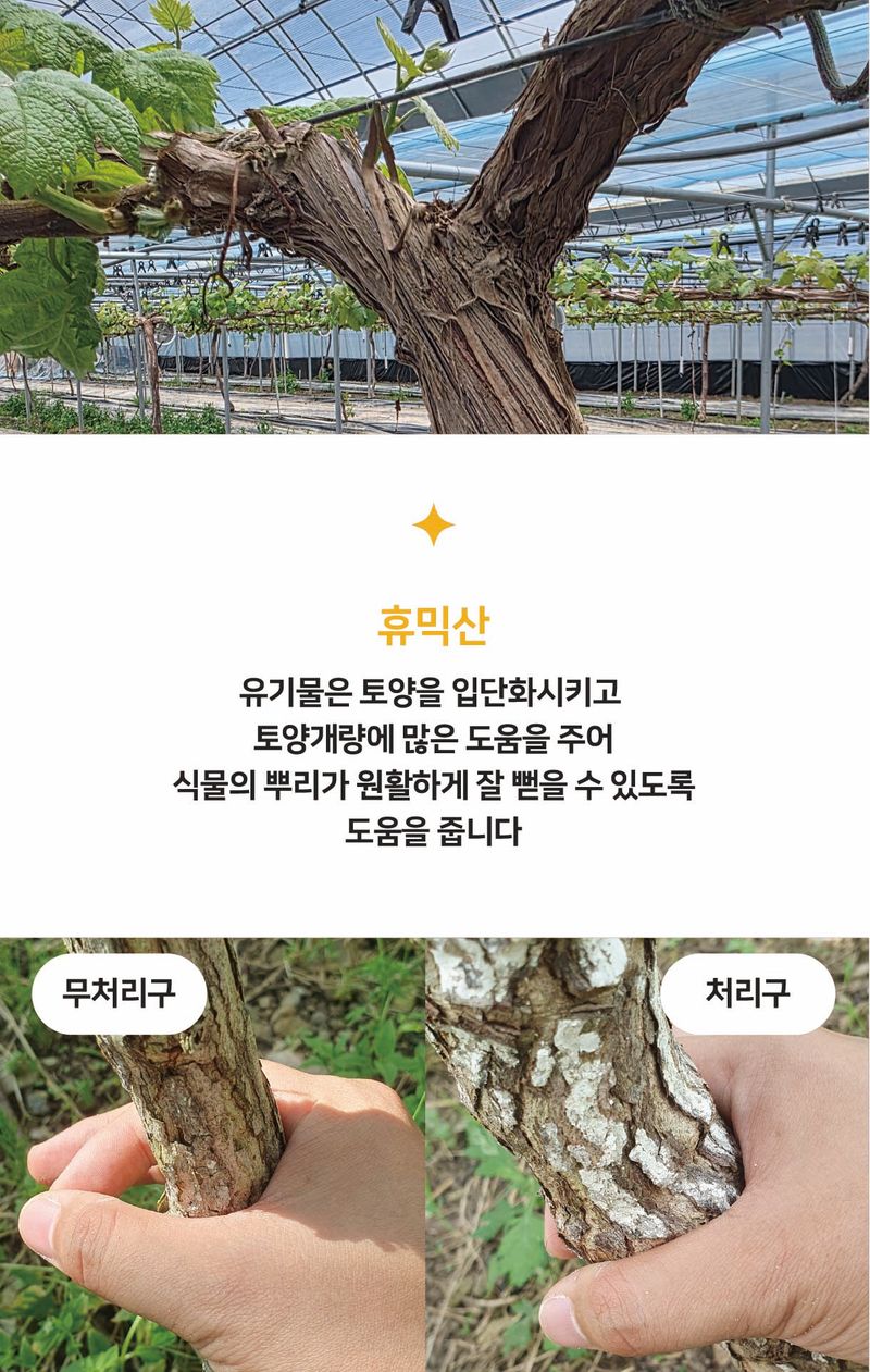 농업마켓365님의 장터 판매 상품 [조피박사 입제 10kg 유기농업자재 토양개량제 과수조피경감 수세강화 묘목비료] 첨부 사진