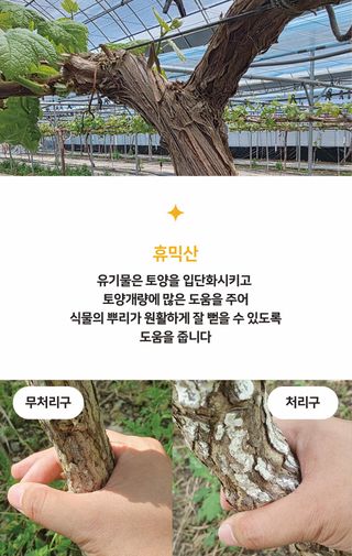 농업마켓365님의 작성글 사진