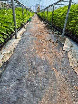 김영진(전남영광)님의 자유주제 · 자유게시판 작성글 사진