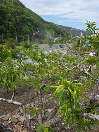 김용대님의 자유주제 · 자유게시판 작성글 사진