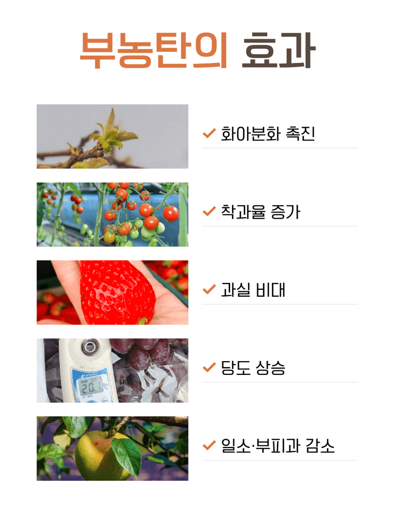 농업마켓365님의 장터 판매 상품 [부농탄 미량겐 500ML SET 착과비대 완성 고당도 고품질 수확 식물영양제 비료] 첨부 사진