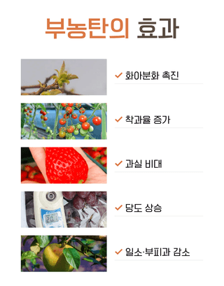 농업마켓365님의 작성글 사진