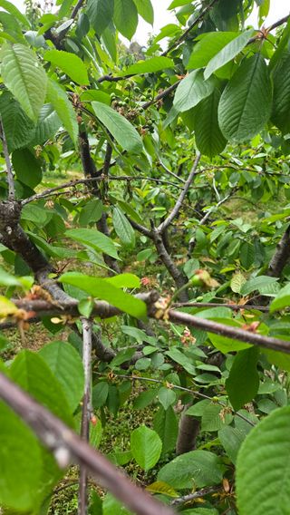 박정희 님의 자유주제 · 자유게시판 작성글 사진