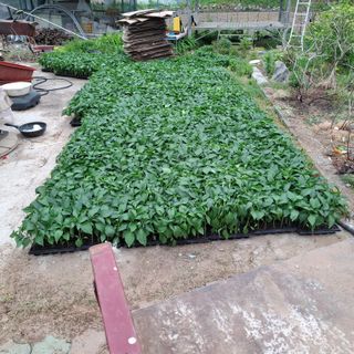 오영도님의 자유주제 · 자유게시판 작성글 사진