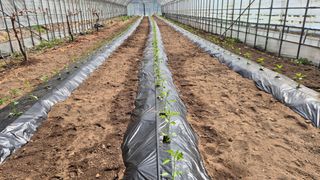 심재연님의 자유주제 · 자유게시판 작성글 사진