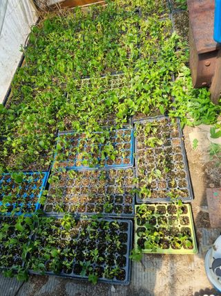 박철회님의 자유주제 · 자유게시판 작성글 사진