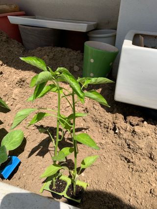 님의 자유주제 · 자유게시판 작성글 사진