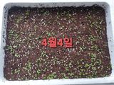 팜모닝 · 게시글 이미지