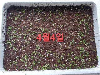 황강순님의 작성글 사진