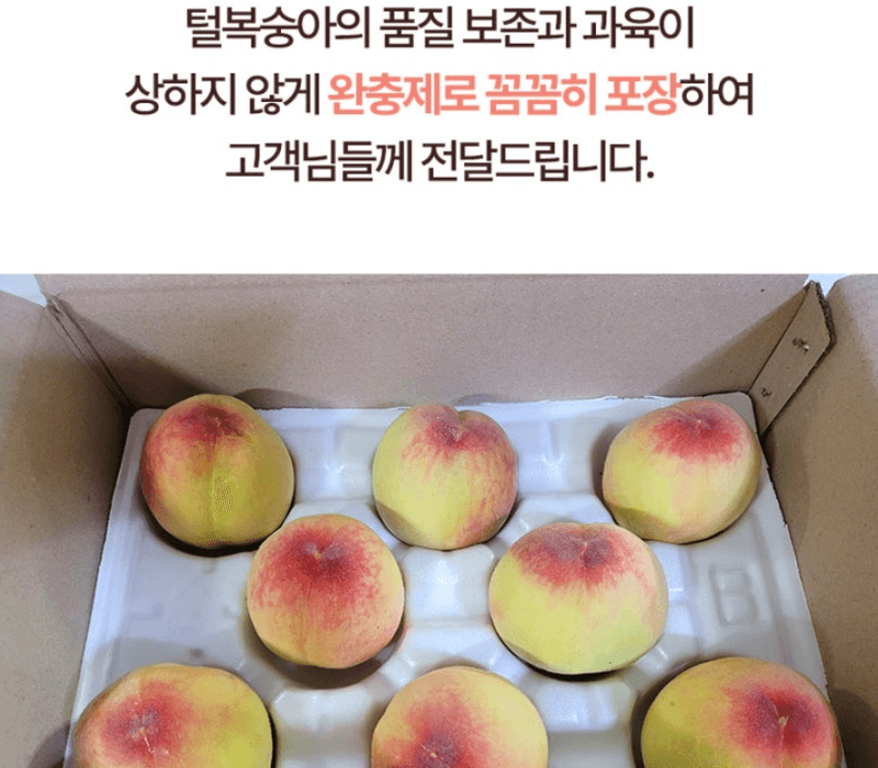 스피드번님의 장터 판매 상품 [하우스 털복숭아] 첨부 사진