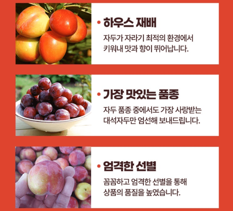 스피드번님의 장터 판매 상품 [하우스 대석자두] 첨부 사진
