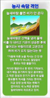 팜모닝 자유주제·자유게시판 게시글 이미지