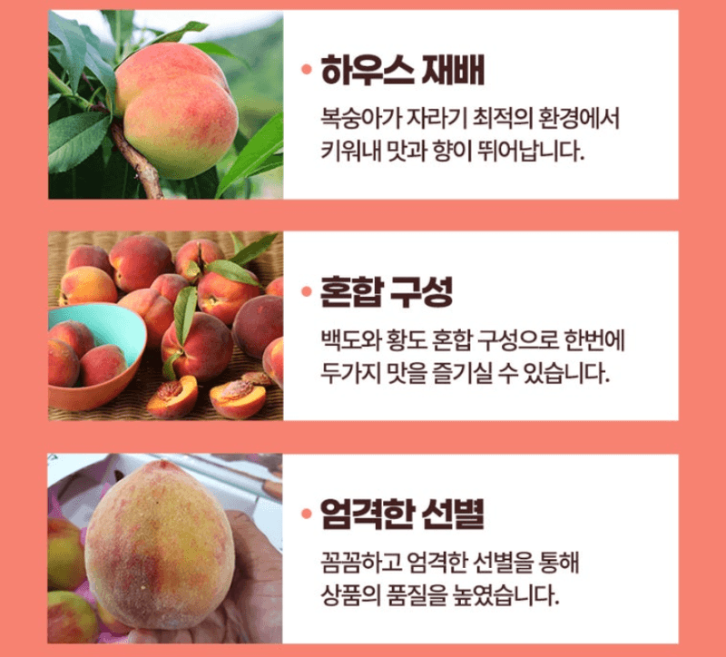 스피드번님의 장터 판매 상품 [하우스 털복숭아] 첨부 사진