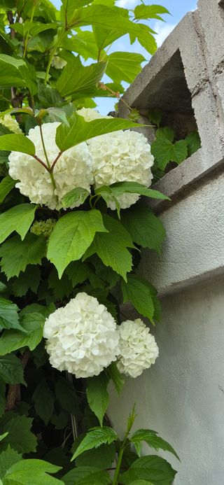 기중권님의 자유주제 · 사진전 작성글 사진