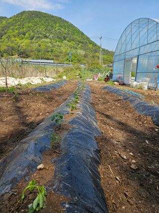 farmer님의 자유주제 · 자유게시판 작성글 사진