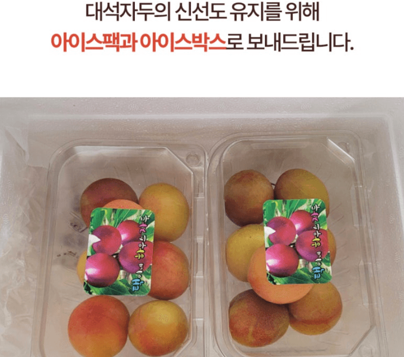 스피드번님의 장터 판매 상품 [하우스 대석자두] 첨부 사진