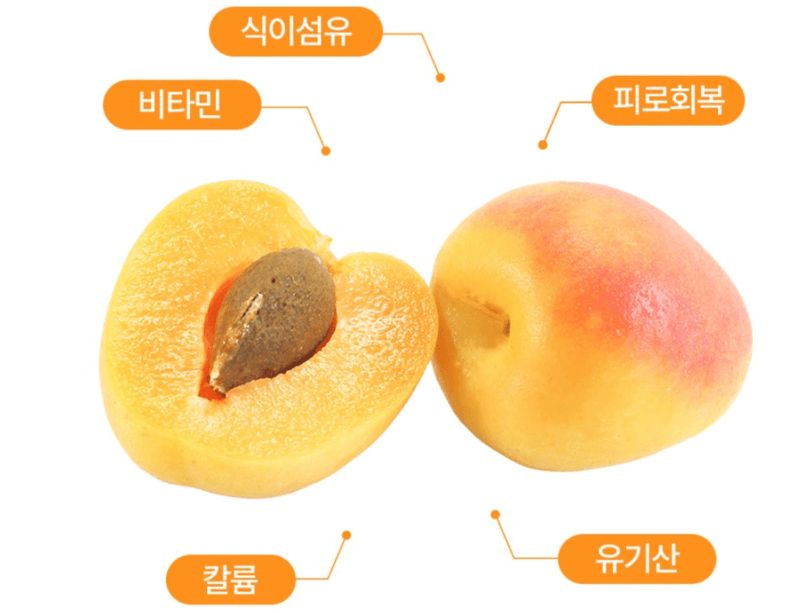 스피드번님의 장터 판매 상품 [하우스 살구] 첨부 사진