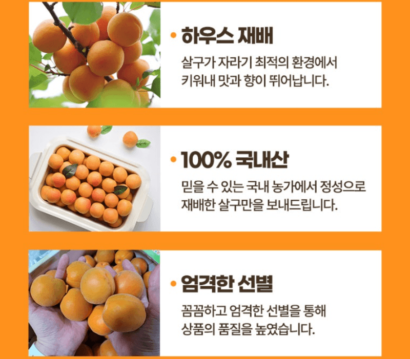 스피드번님의 장터 판매 상품 [하우스 살구] 첨부 사진