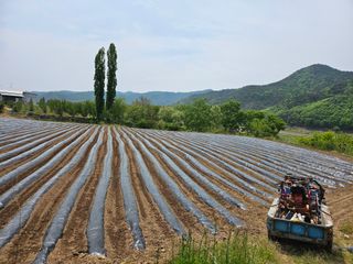 김희동님의 자유주제 · 자유게시판 작성글 사진