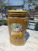 팜모닝 · 게시글 이미지