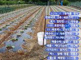 팜모닝 자유주제·자유게시판 게시글 이미지