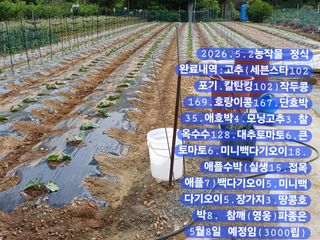 박성민님의 자유주제·자유게시판 작성글 사진