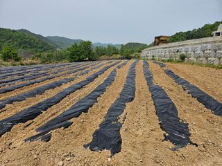 김희동님의 자유주제 · 자유게시판 작성글 사진