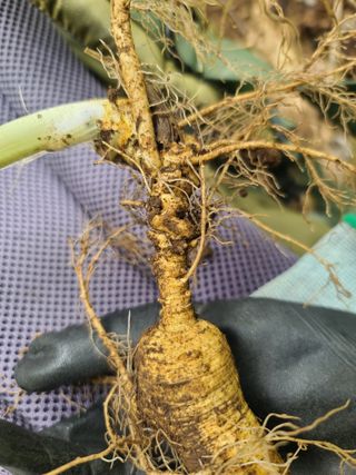 가장맛있는사과님의 자유주제 · 자유게시판 작성글 사진
