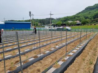 김길수님의 자유주제·자유게시판 작성글 사진