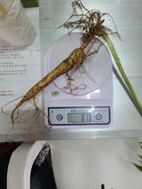 가장맛있는사과님의 자유주제·자유게시판 작성글 사진