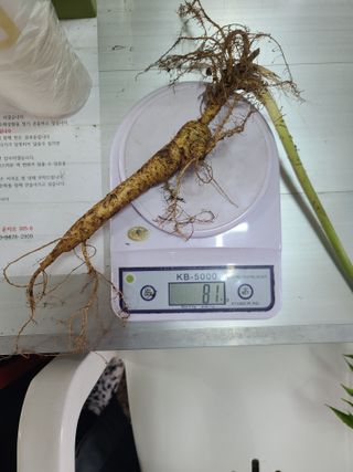 가장맛있는사과님의 자유주제 · 자유게시판 작성글 사진
