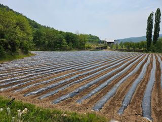 김희동님의 자유주제 · 자유게시판 작성글 사진