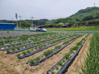 김길수님의 자유주제 · 자유게시판 작성글 사진