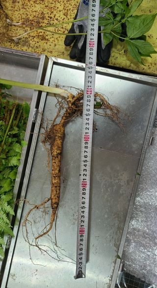 가장맛있는사과님의 자유주제 · 자유게시판 작성글 사진