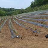 오영도님의 자유주제·자유게시판 작성글 사진