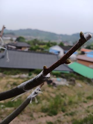 무료지식나눔 팜닥터님의 자유주제 · 자유게시판 작성글 사진