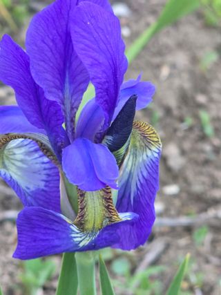 배영이님의 작성글 사진