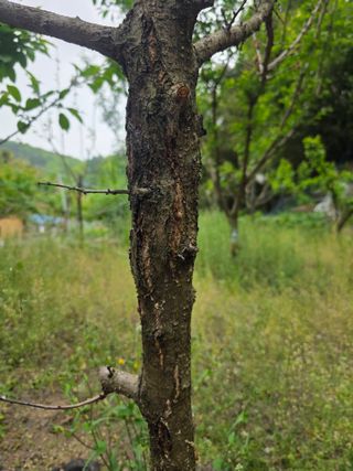 오케바리(옥경종)님의 자유주제 · 자유게시판 작성글 사진